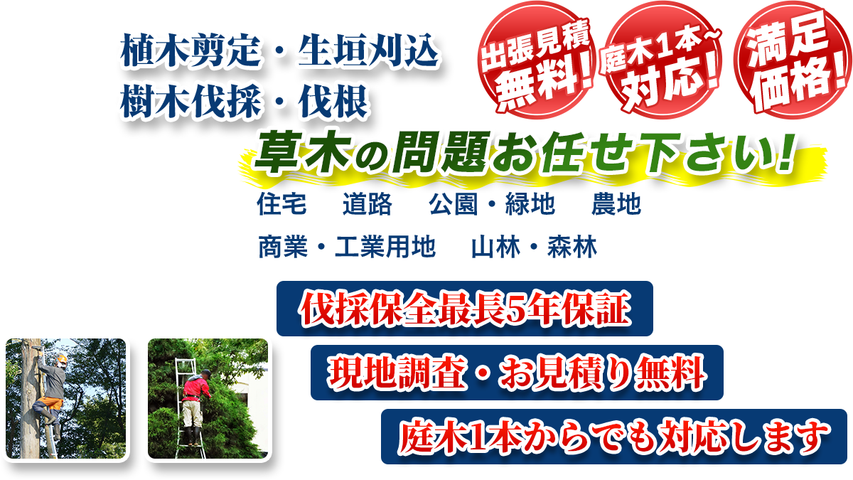 広島エリア即対応!! 出張無料! 庭木1本~対応! 満足価格! 植木剪定・生垣刈込 樹木伐採・伐根 草木の問題お任せ下さい! 住宅 道路 公園・緑地 農地 商業・工業用他 山林・森林 伐採保全最長5年保証 現地調査・お見積り無料 庭木1本からでも対応します